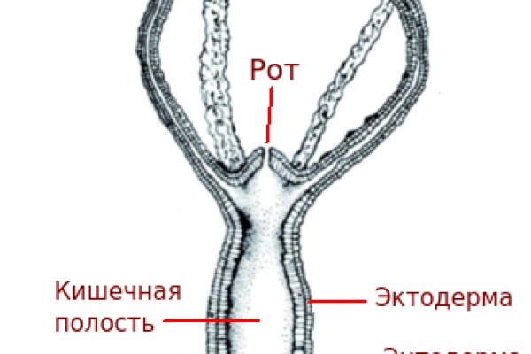 Доступ кракен