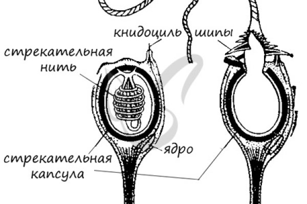 Домен кракена