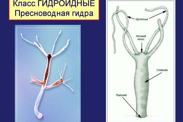 Найдется все kraken 2krn cc